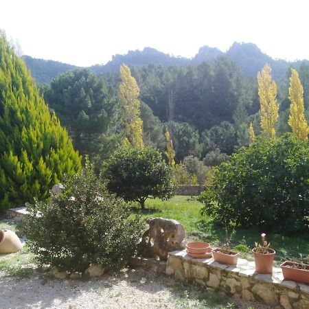 Cortijo Del Cuco Villa Riópar Kültér fotó